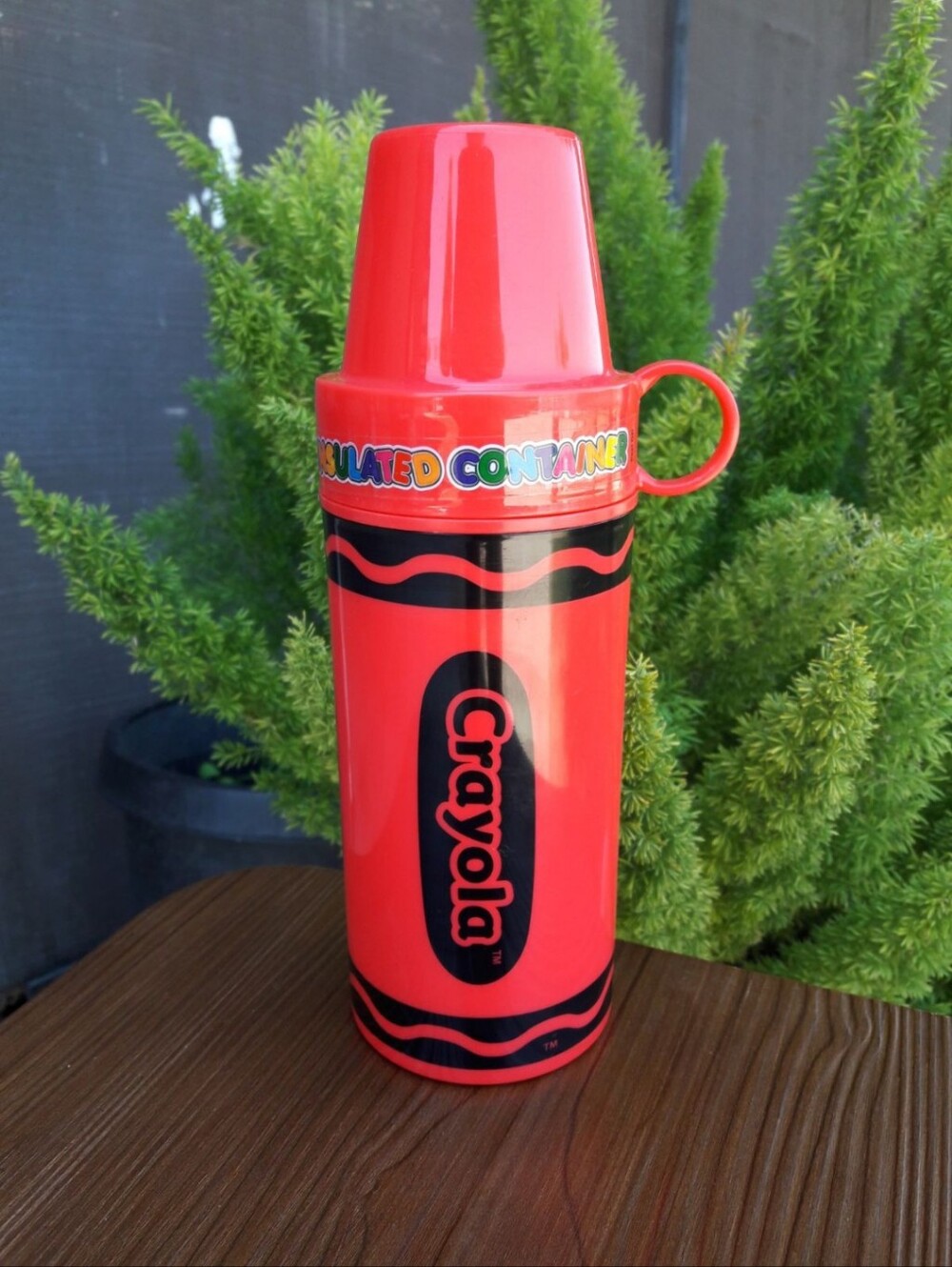 Crayola 2006 VINTAGE Crayon Insulated Thermos Container 11.5oz